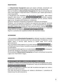 manuale uso camino a bioetanolo fuecopared pagina 4